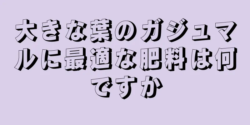 大きな葉のガジュマルに最適な肥料は何ですか