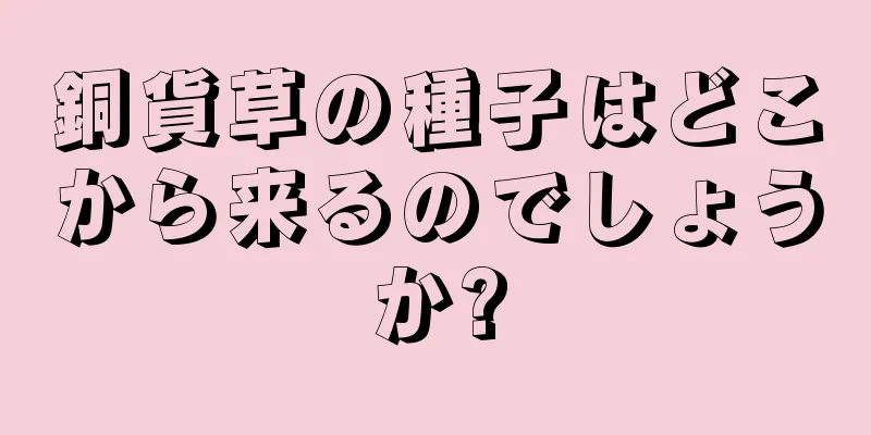銅貨草の種子はどこから来るのでしょうか?