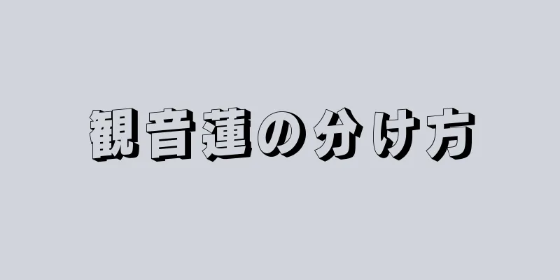 観音蓮の分け方