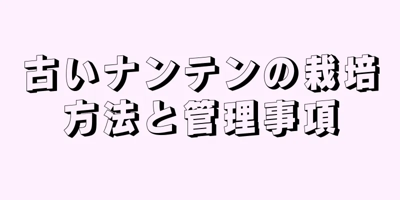 古いナンテンの栽培方法と管理事項