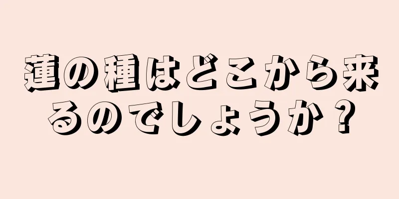 蓮の種はどこから来るのでしょうか？