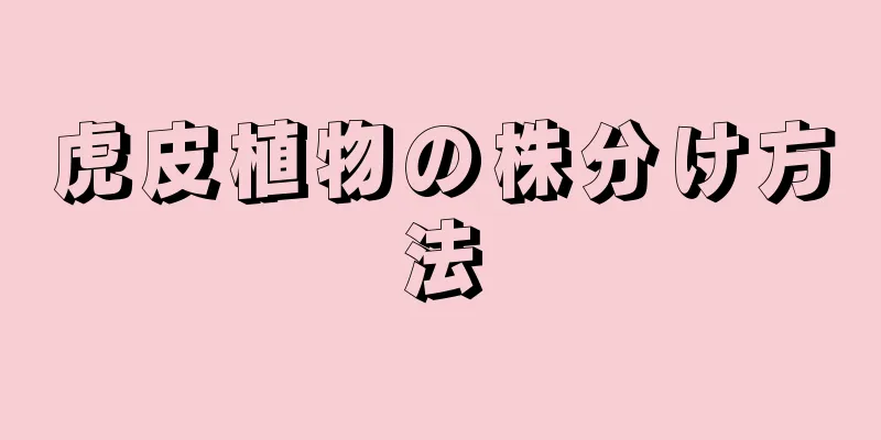 虎皮植物の株分け方法