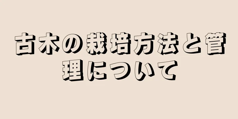 古木の栽培方法と管理について