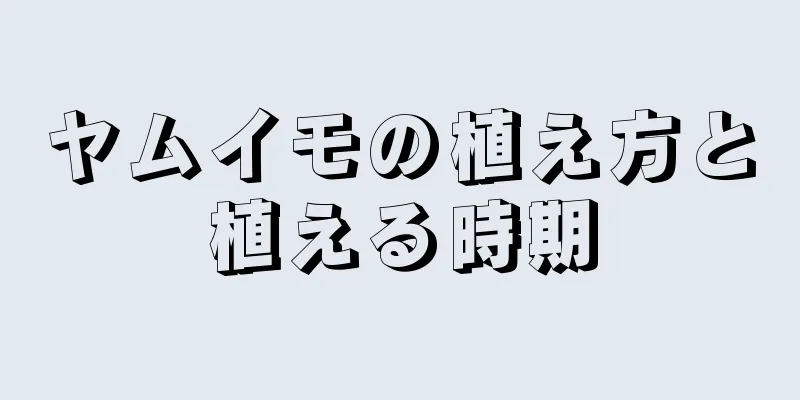 ヤムイモの植え方と植える時期