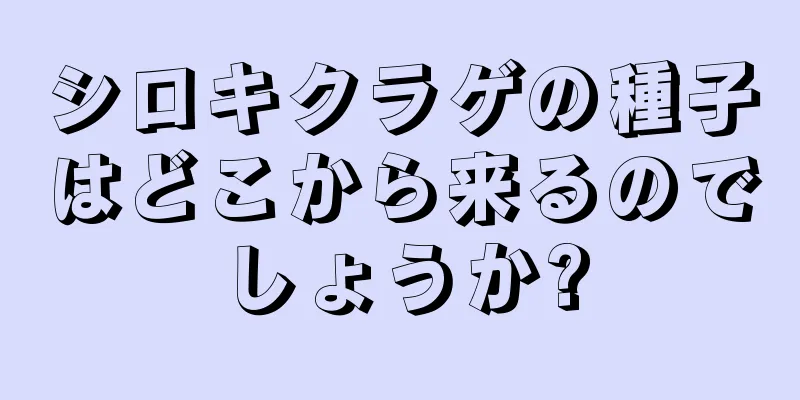 シロキクラゲの種子はどこから来るのでしょうか?