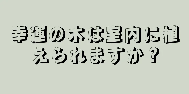 幸運の木は室内に植えられますか？