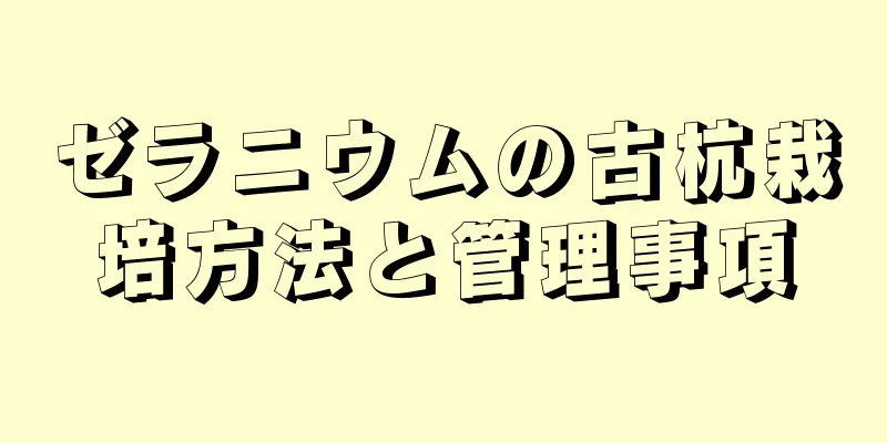 ゼラニウムの古杭栽培方法と管理事項