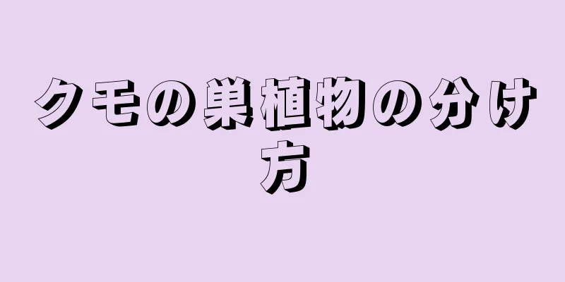 クモの巣植物の分け方