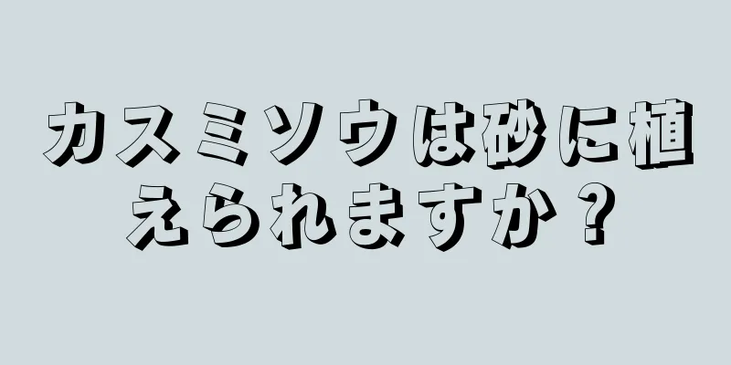 カスミソウは砂に植えられますか？