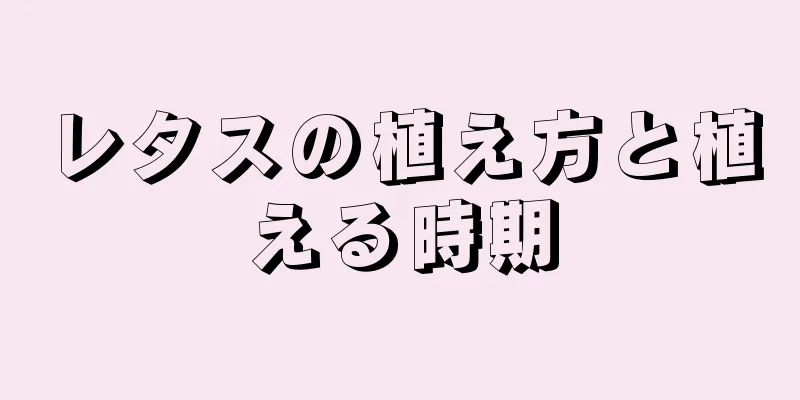 レタスの植え方と植える時期