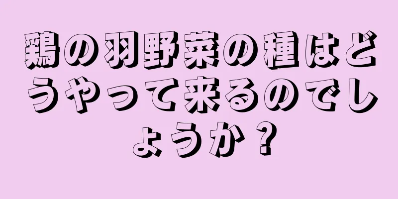 鶏の羽野菜の種はどうやって来るのでしょうか？