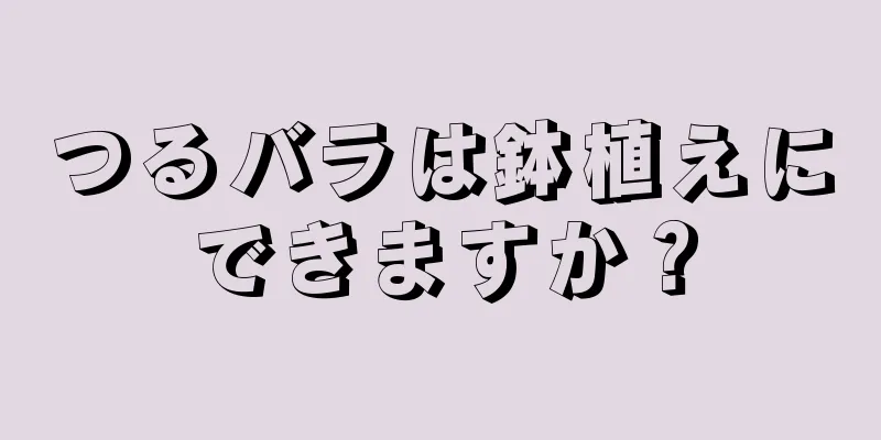 つるバラは鉢植えにできますか？