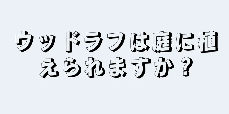ウッドラフは庭に植えられますか？