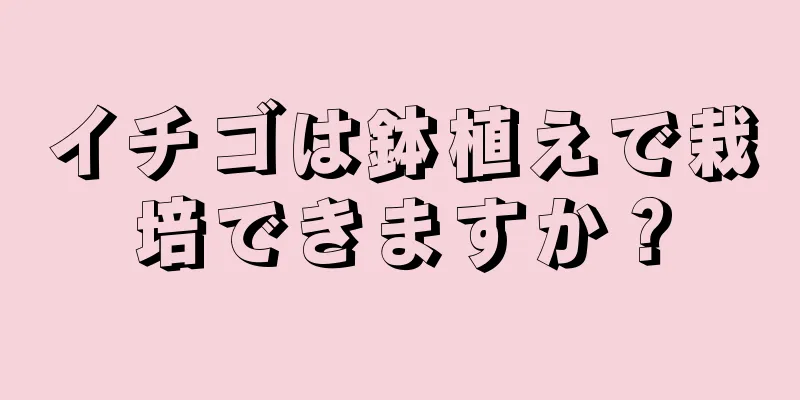 イチゴは鉢植えで栽培できますか？