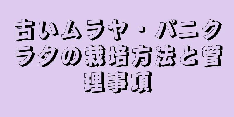 古いムラヤ・パニクラタの栽培方法と管理事項