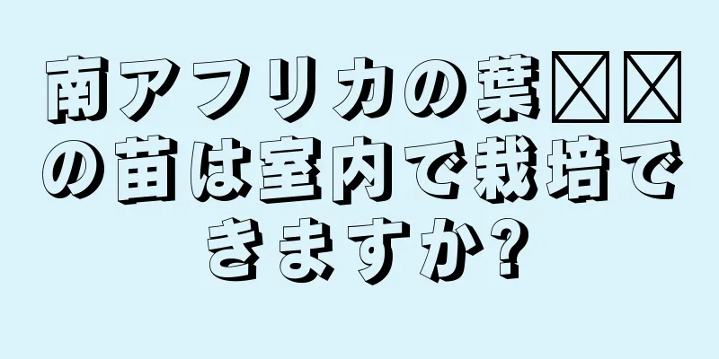 南アフリカの葉​​の苗は室内で栽培できますか?