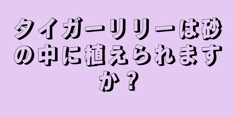 タイガーリリーは砂の中に植えられますか？