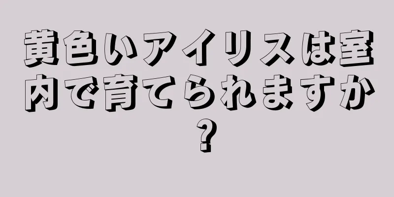 黄色いアイリスは室内で育てられますか？