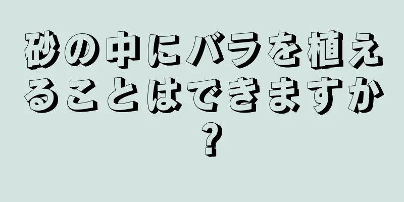砂の中にバラを植えることはできますか？