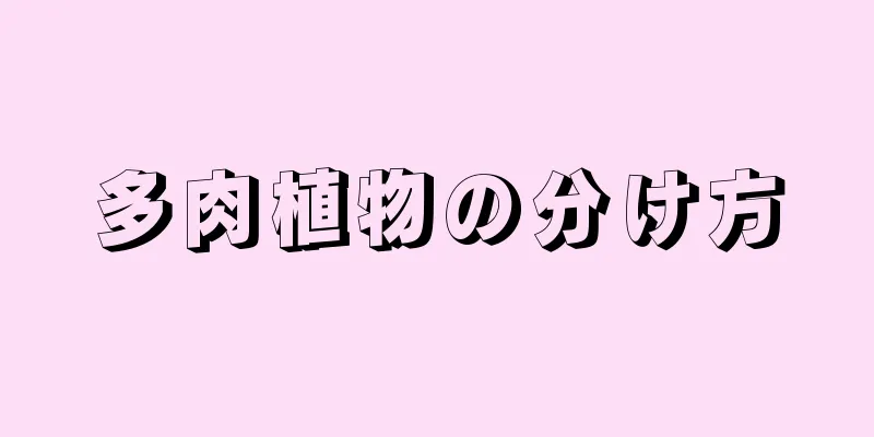 多肉植物の分け方
