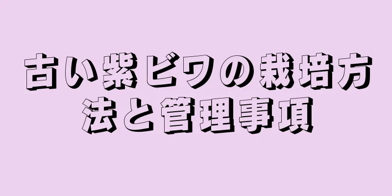 古い紫ビワの栽培方法と管理事項