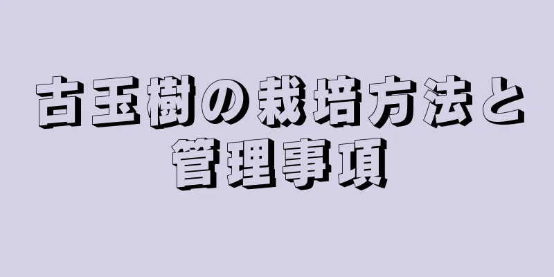 古玉樹の栽培方法と管理事項