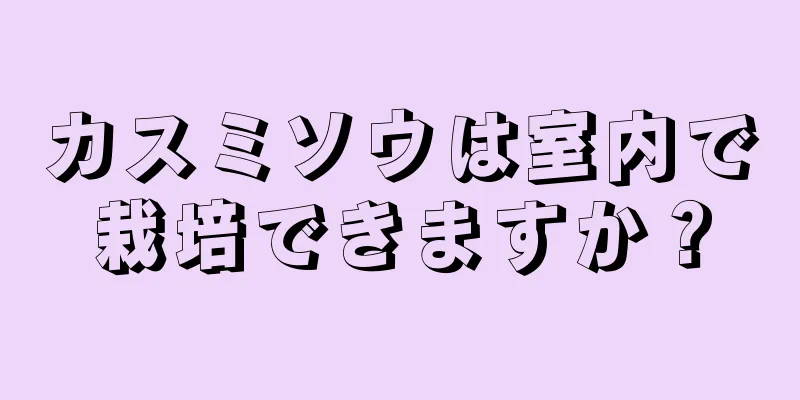 カスミソウは室内で栽培できますか？