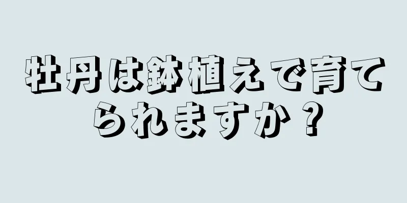 牡丹は鉢植えで育てられますか？