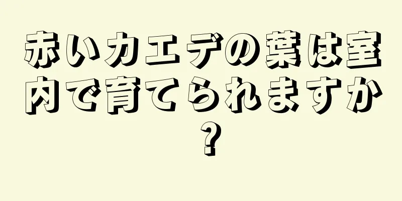 赤いカエデの葉は室内で育てられますか？