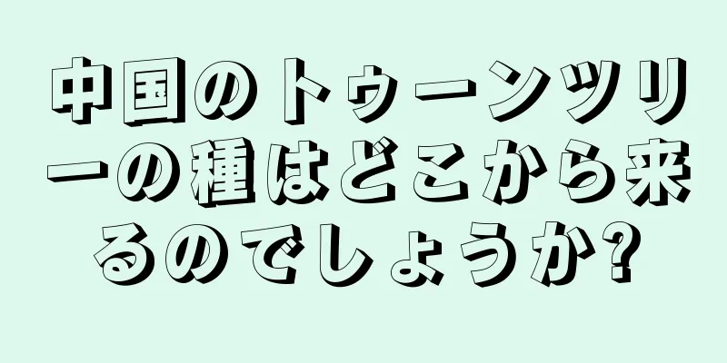 中国のトゥーンツリーの種はどこから来るのでしょうか?