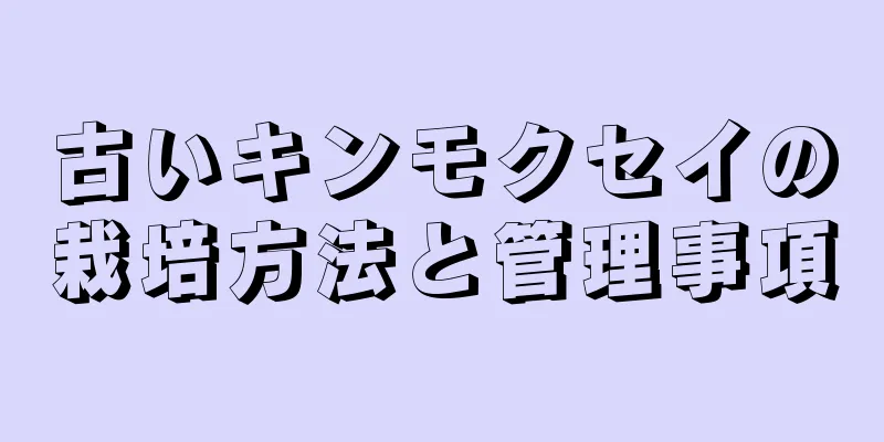 古いキンモクセイの栽培方法と管理事項