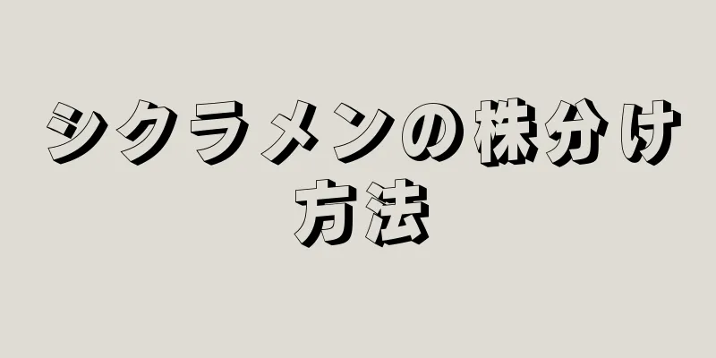 シクラメンの株分け方法