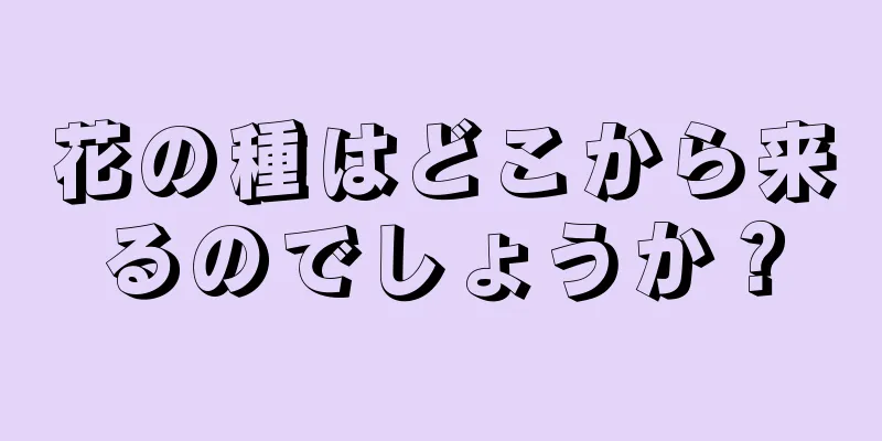 花の種はどこから来るのでしょうか？