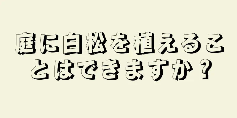 庭に白松を植えることはできますか？