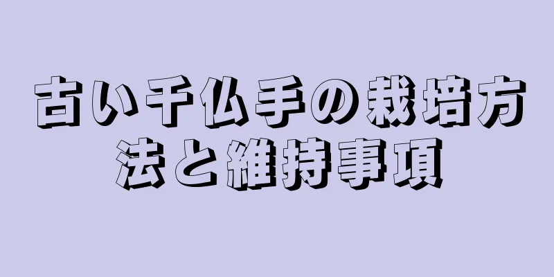 古い千仏手の栽培方法と維持事項