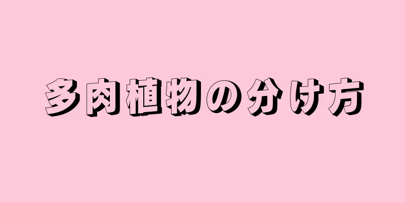多肉植物の分け方