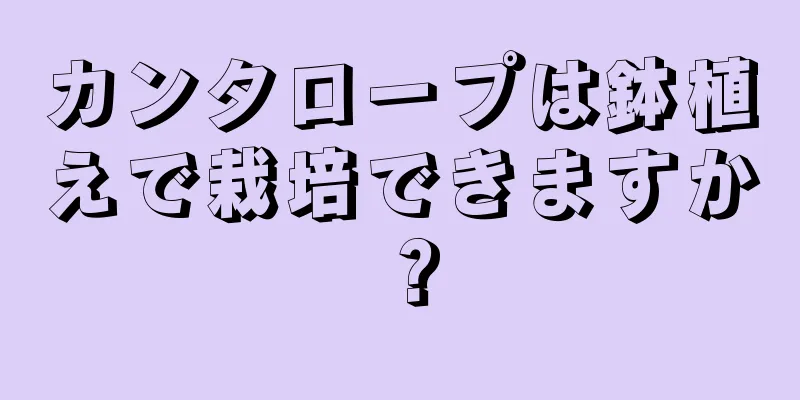 カンタロープは鉢植えで栽培できますか？