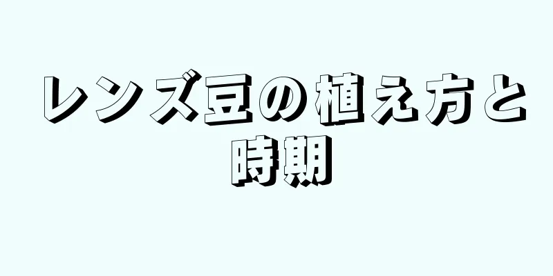 レンズ豆の植え方と時期