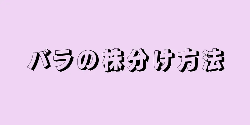 バラの株分け方法