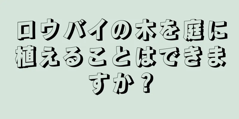 ロウバイの木を庭に植えることはできますか？