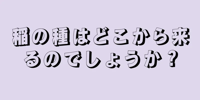 稲の種はどこから来るのでしょうか？