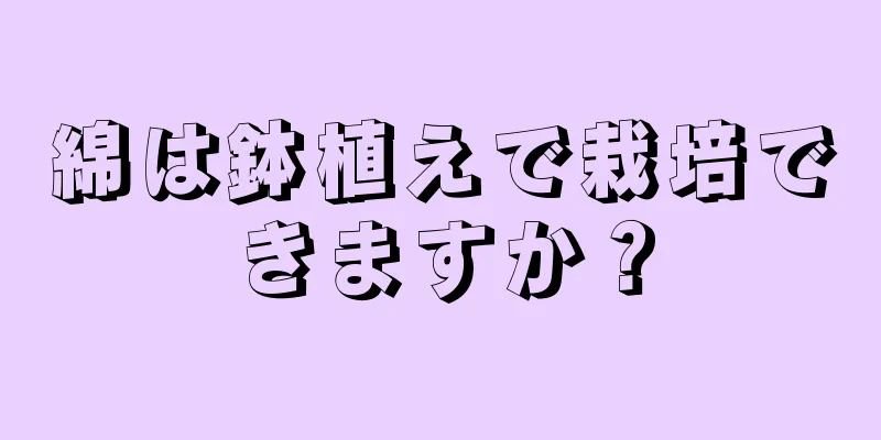 綿は鉢植えで栽培できますか？