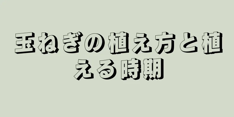 玉ねぎの植え方と植える時期