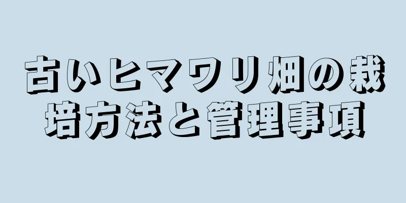 古いヒマワリ畑の栽培方法と管理事項