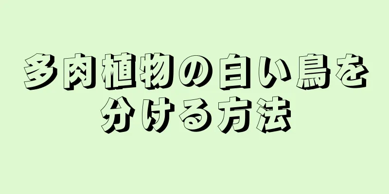 多肉植物の白い鳥を分ける方法