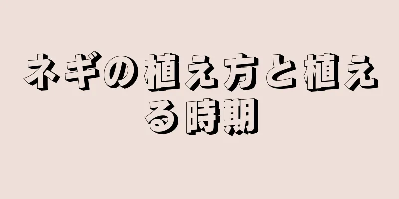 ネギの植え方と植える時期