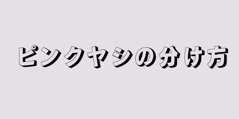 ピンクヤシの分け方