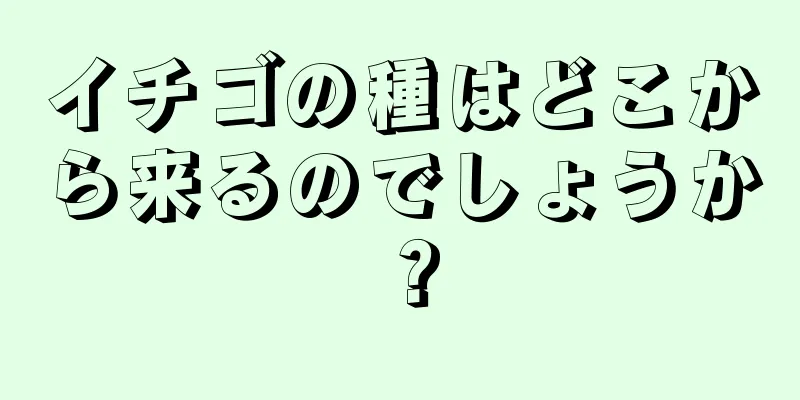 イチゴの種はどこから来るのでしょうか？