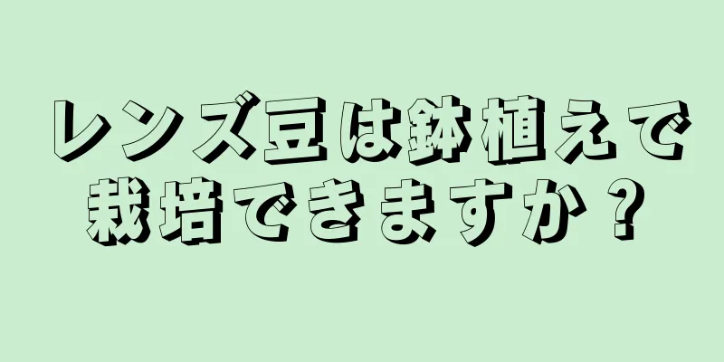 レンズ豆は鉢植えで栽培できますか？