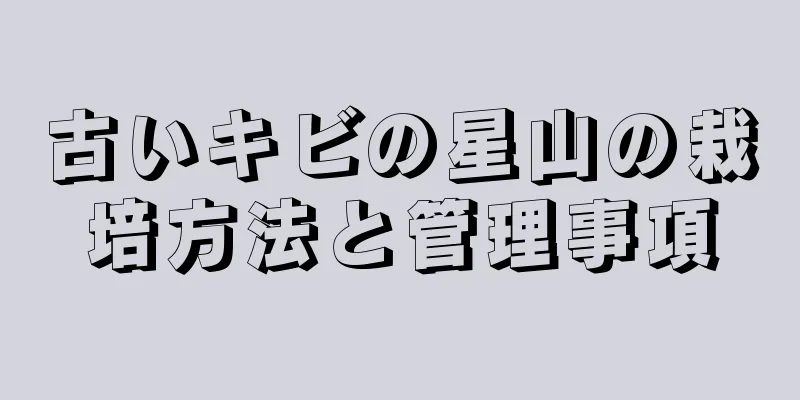 古いキビの星山の栽培方法と管理事項